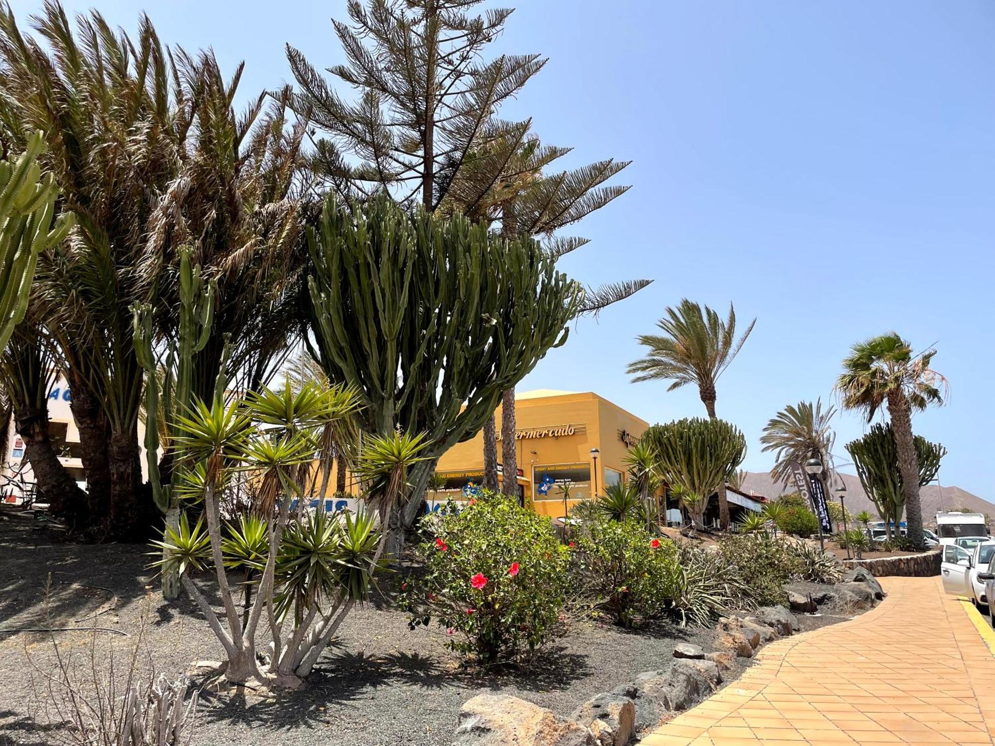 Ferienwohnung CASA RELAX PAPAGAYO iRent Fuerteventura Corralejo Exterior foto